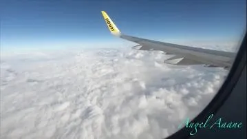 Public airplane blowjob